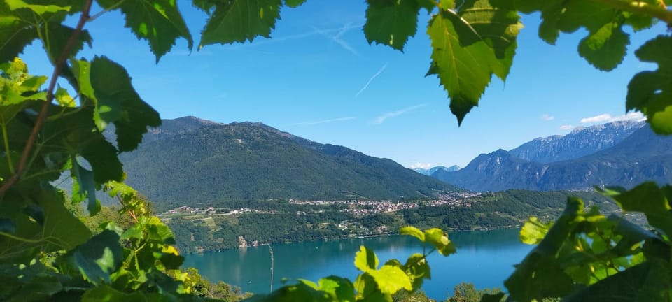 Agritur Maso Flonkeri Bed and Breakfast in Trentino-South Tyrol