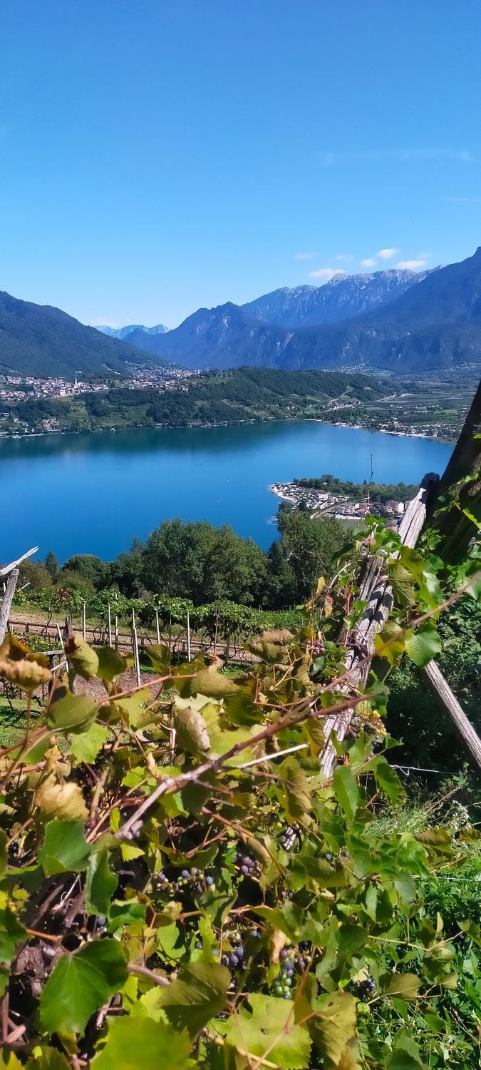 Agritur Maso Flonkeri Bed and Breakfast in Trentino-South Tyrol