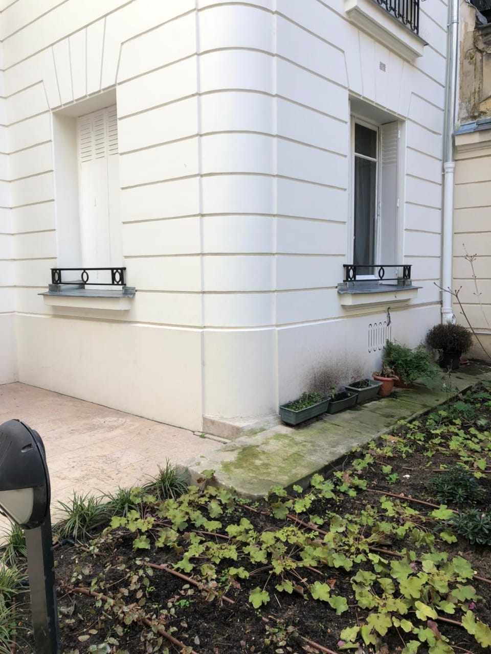 Property building, Garden view