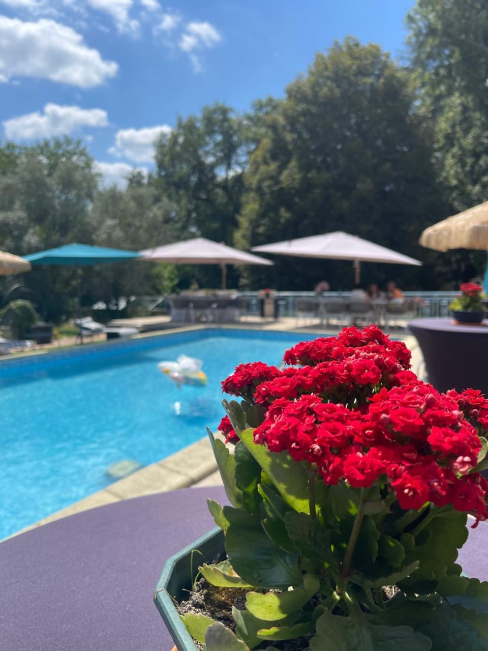 BORDEAUX Château Lafleur Hotel in Nouvelle-Aquitaine