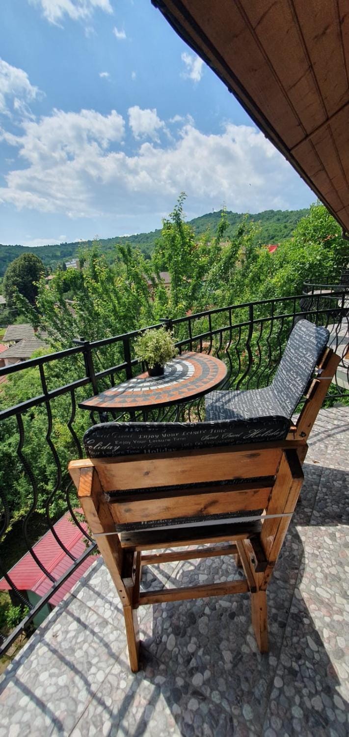 Pensiunea TOP DEMAC Bed and Breakfast in Prahova, Romania
