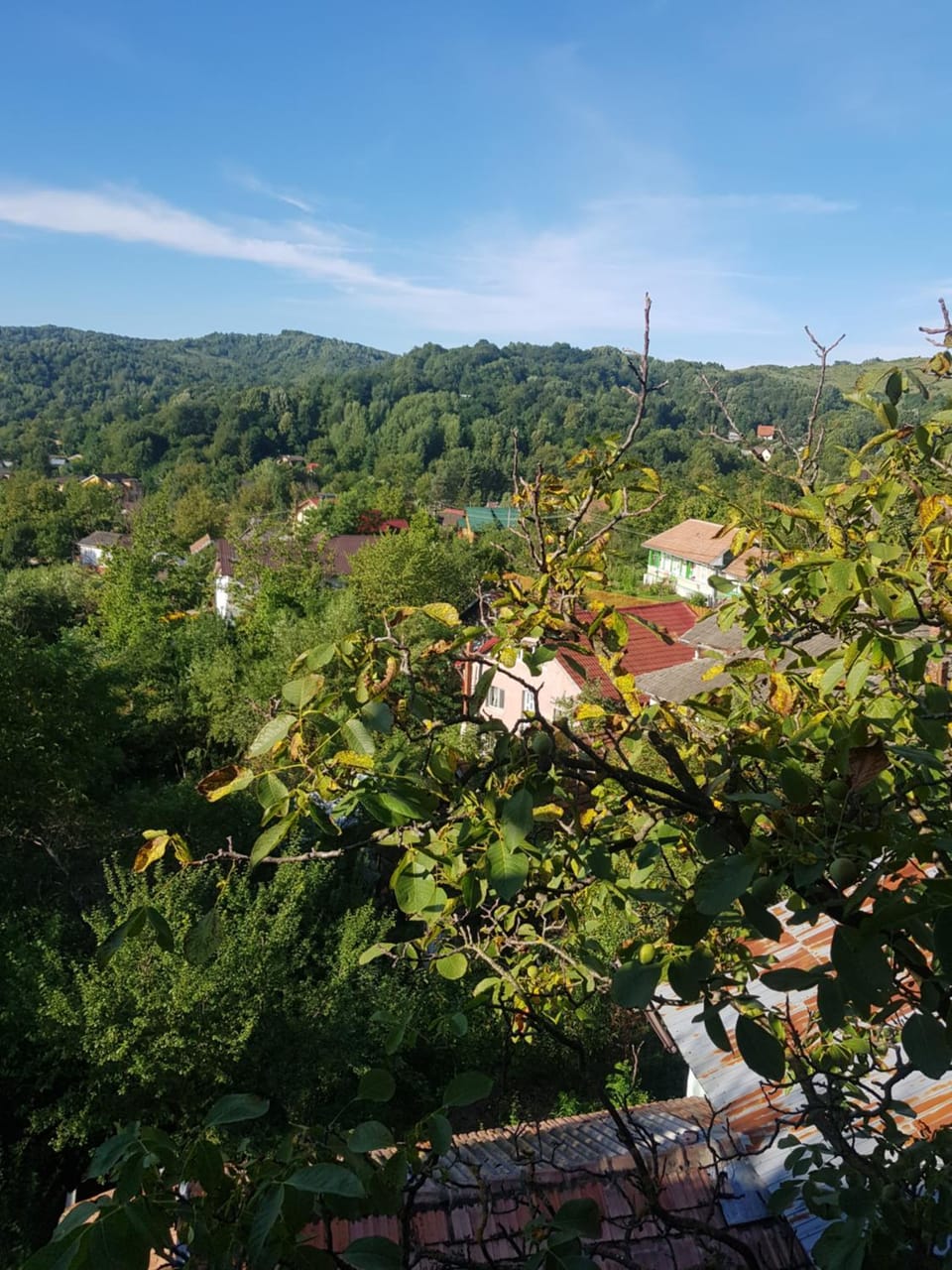 Day, Natural landscape, Bird's eye view, View (from property/room), Mountain view