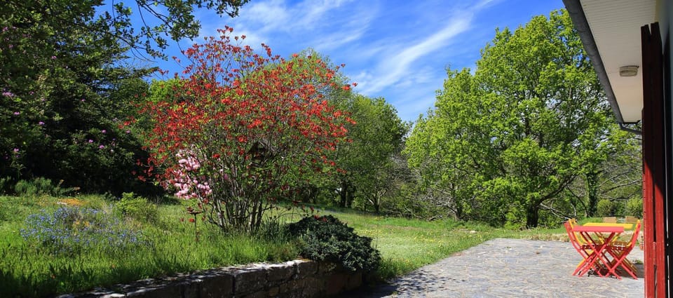 Natural landscape, Garden, Garden, Balcony/Terrace, Garden view