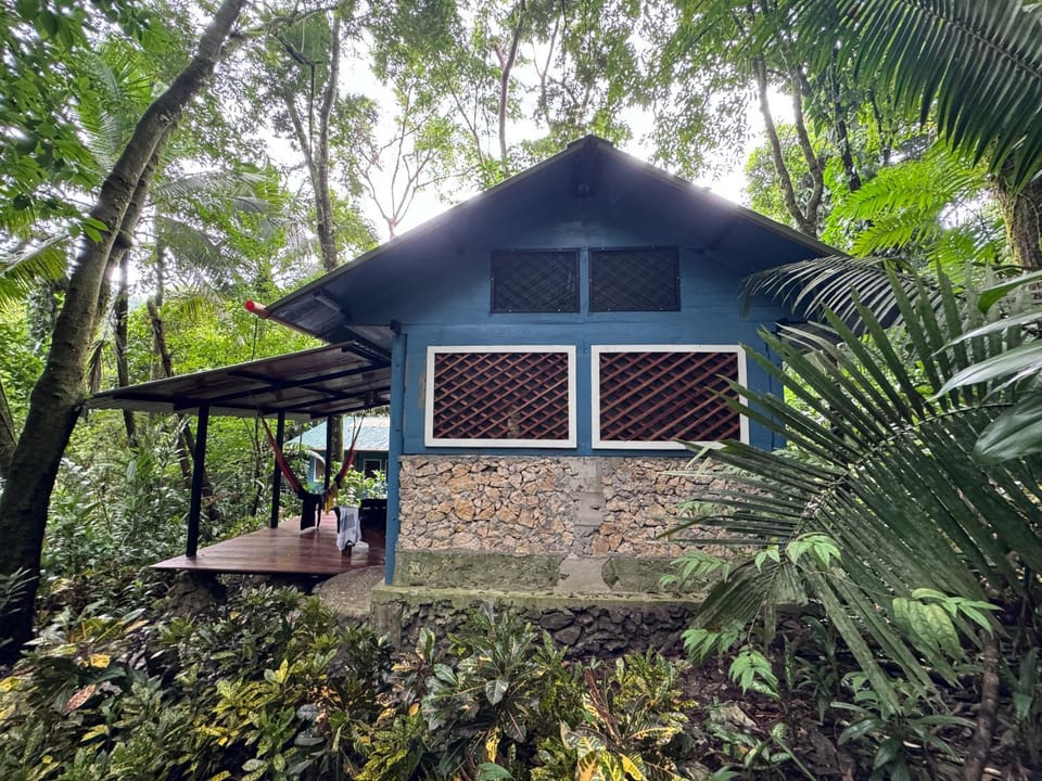 Property building, Natural landscape, Garden view