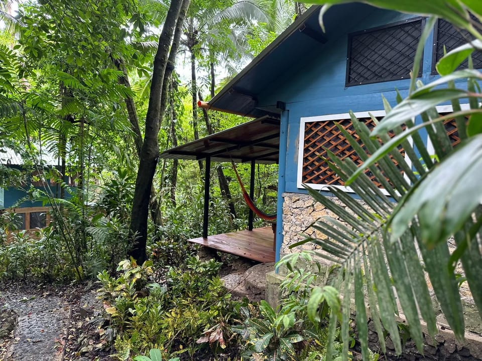 Property building, Natural landscape, Balcony/Terrace, Garden view
