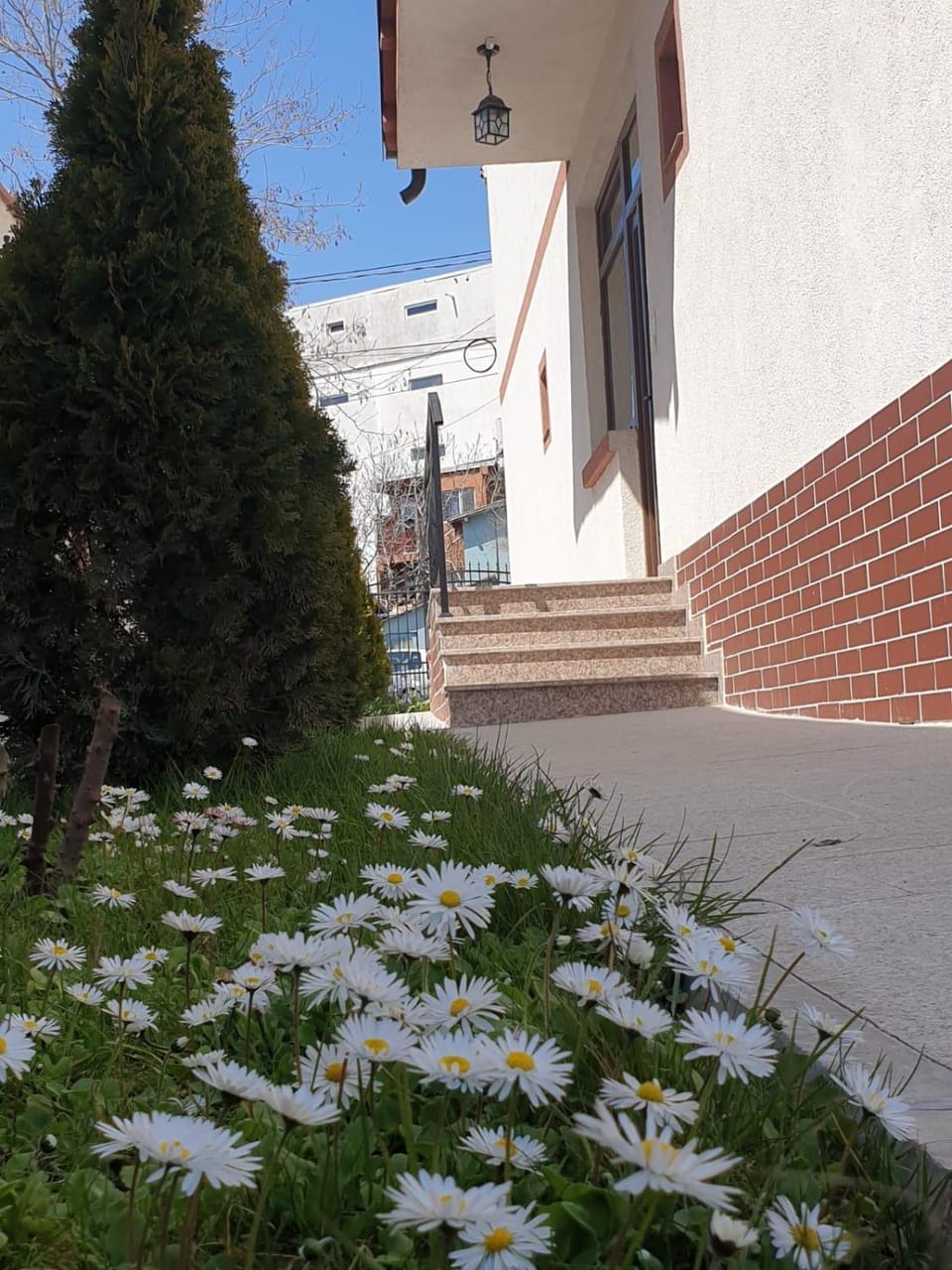 Vila M&G Mamaia Nord Bed and Breakfast in Constanța County