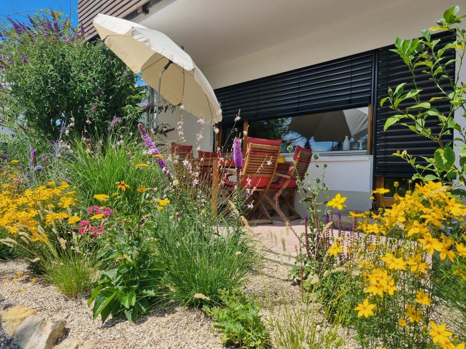 Balcony/Terrace, Balcony/Terrace