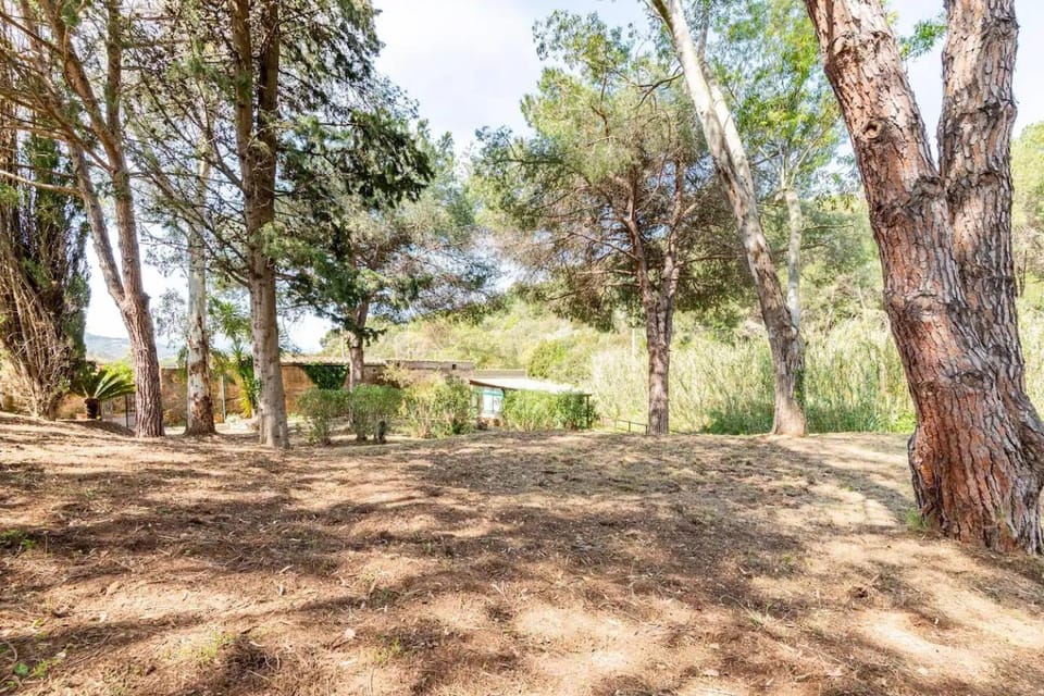 Natural landscape, Garden, Garden view