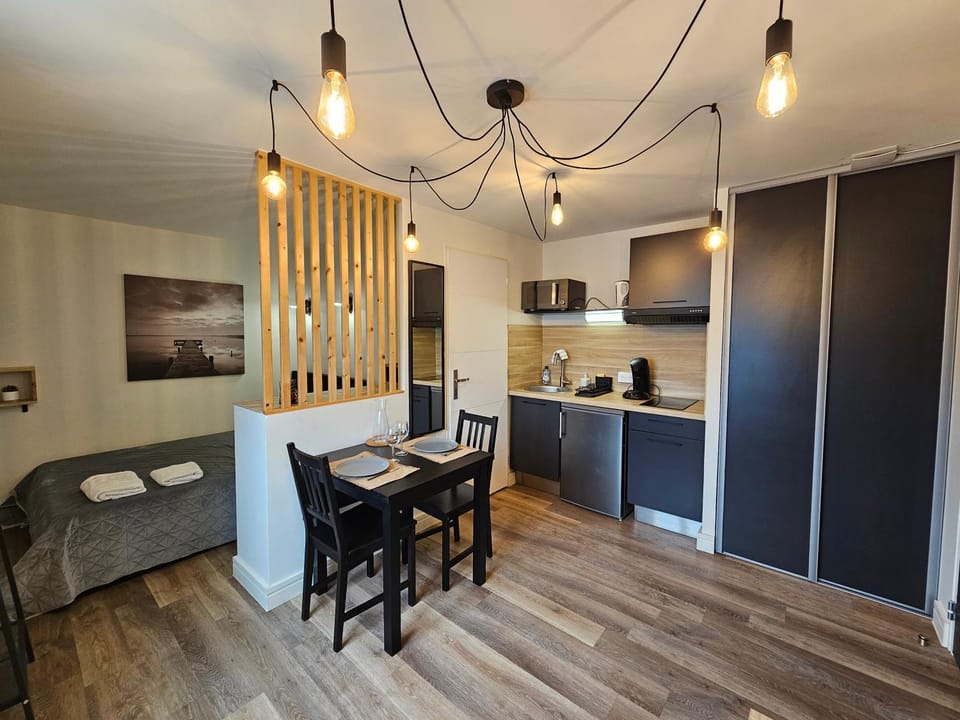 Au 3 rue Manhès Apartment in Albi