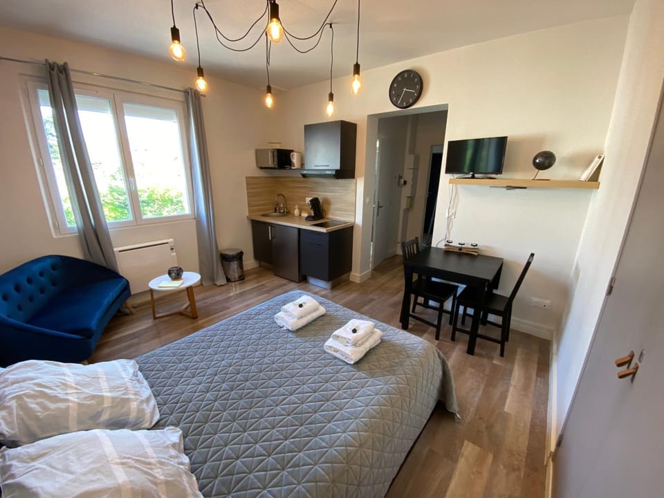 Au 3 rue Manhès Apartment in Albi
