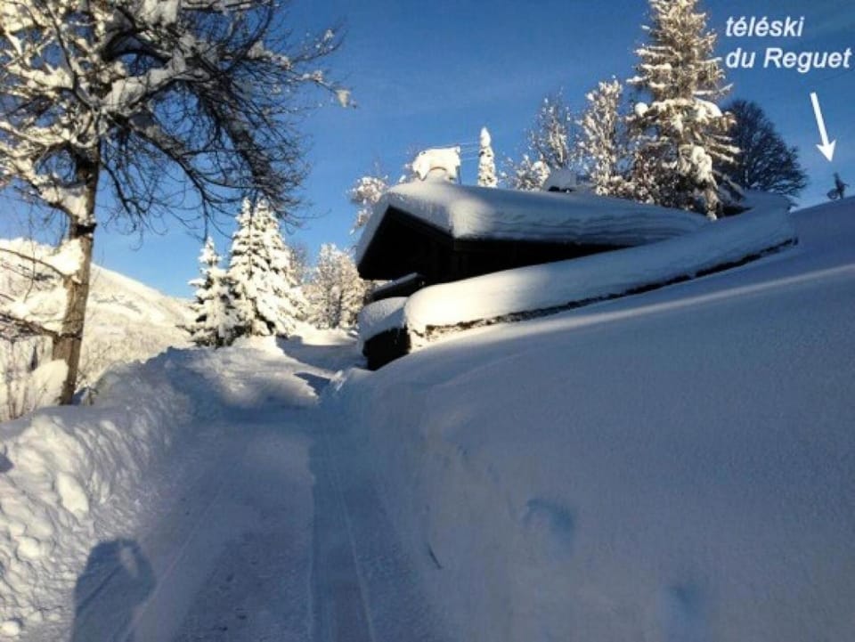 Résidence Le Maseto - Charmant Chalet, ski aux pieds MAE-2884 Chalet in Notre-Dame-de-Bellecombe