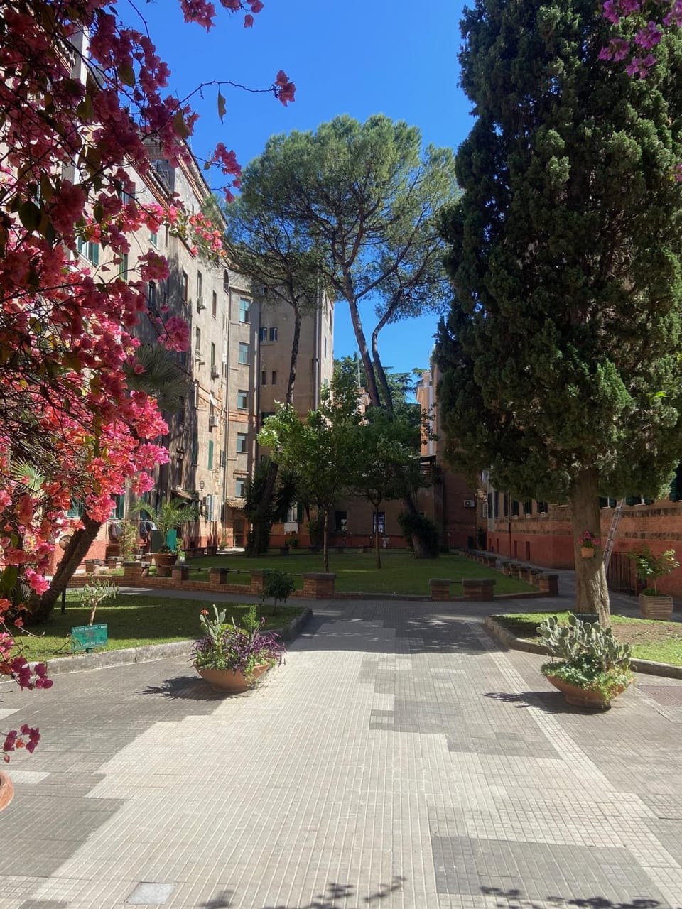 Property building, Garden view