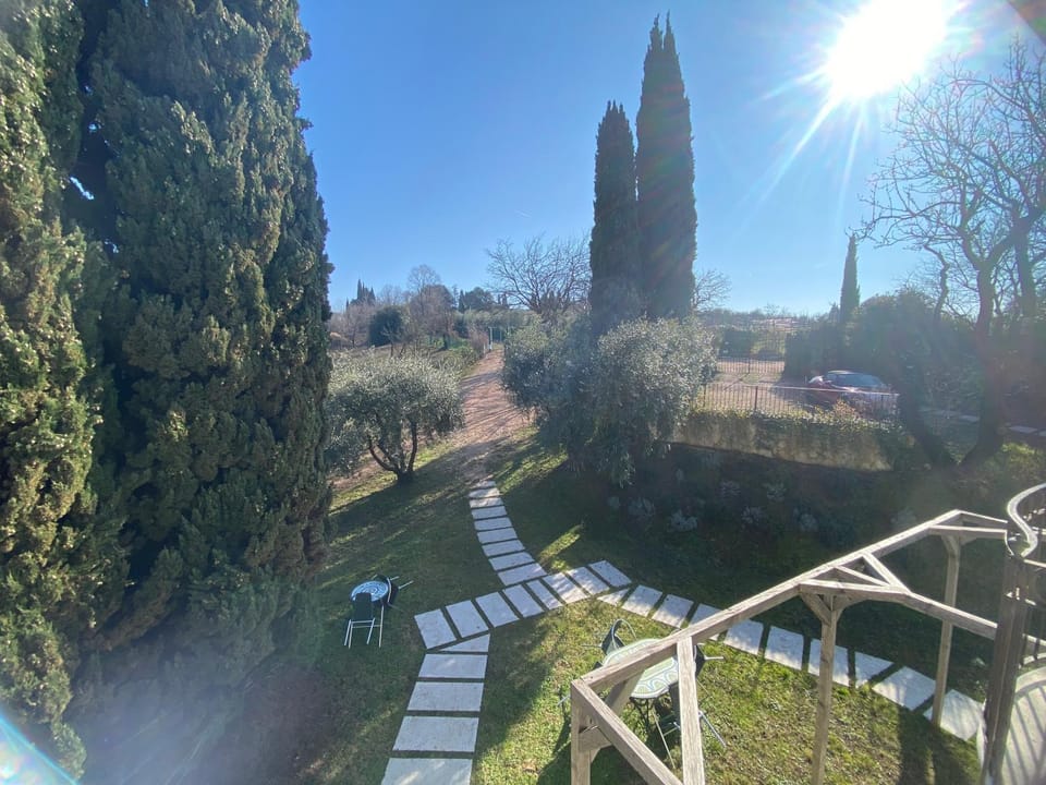 Natural landscape, Garden, Garden view