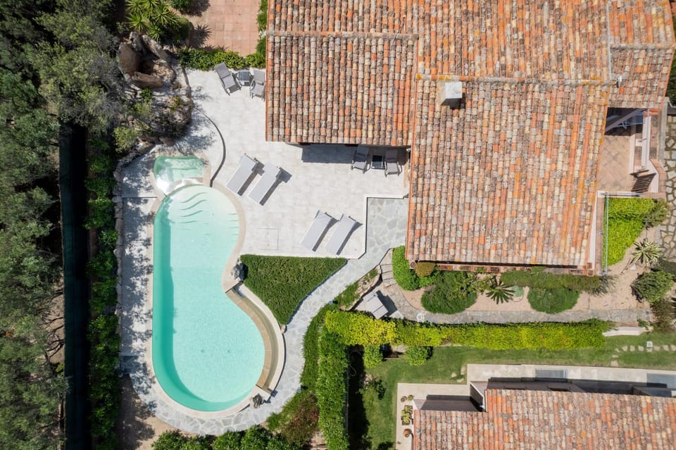 Natural landscape, Garden, View (from property/room), Pool view, Swimming pool