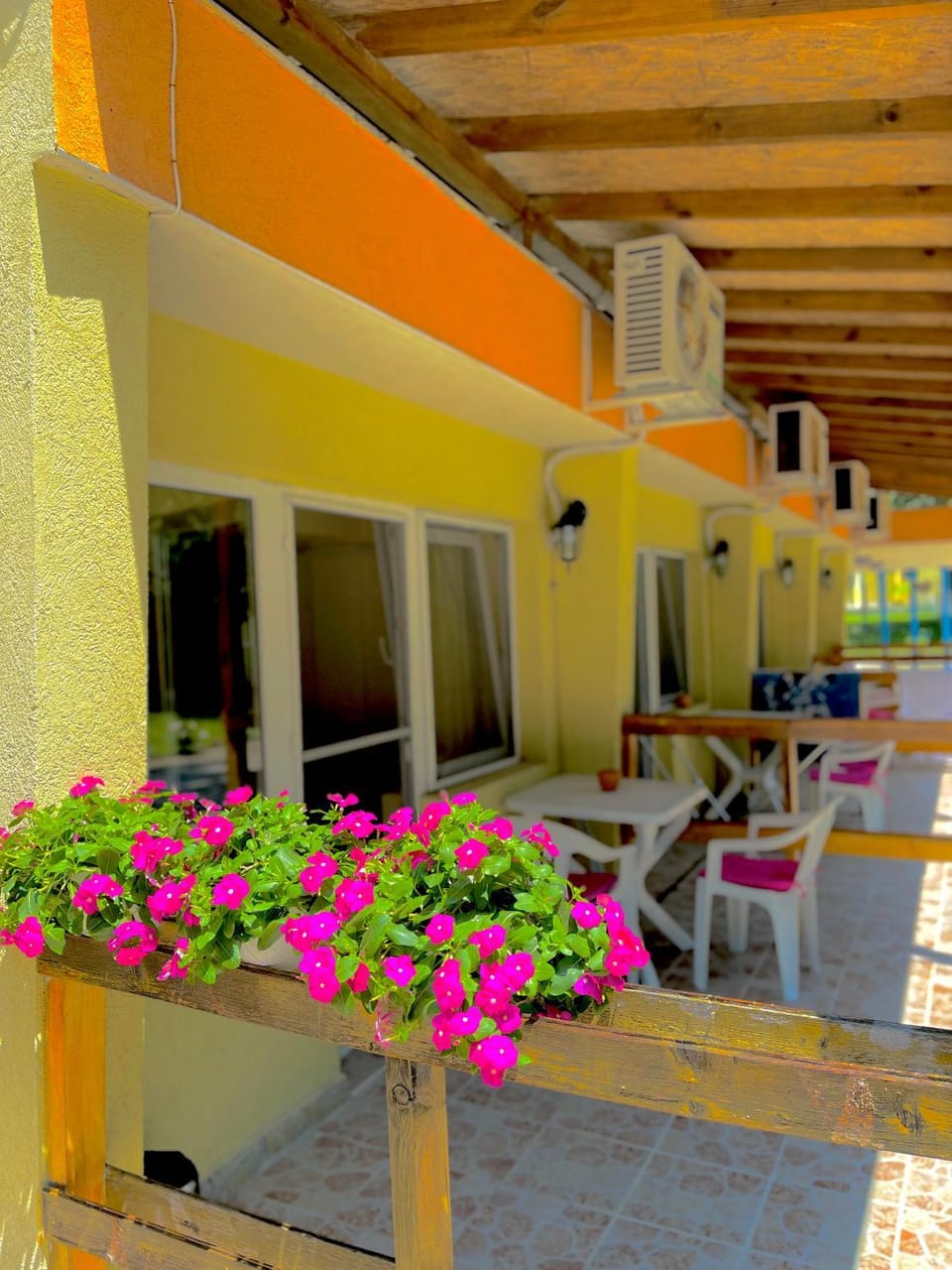 Pop Аrt Bungalows Hotel in Burgas Province