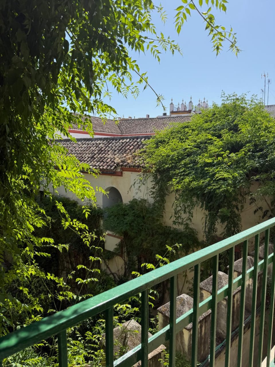 Property building, Garden view