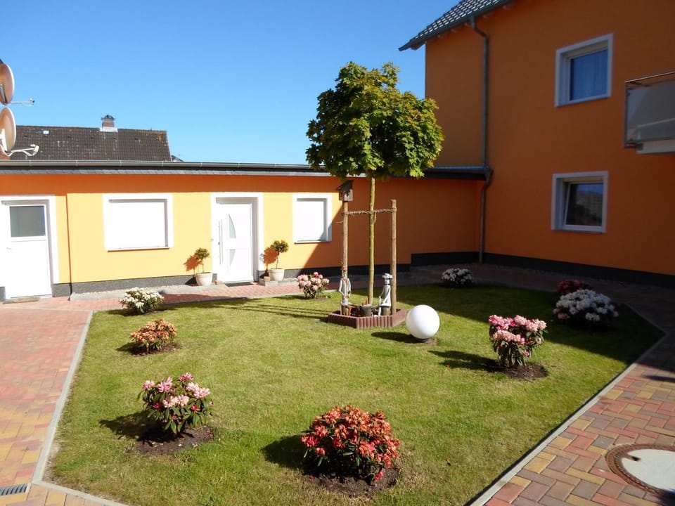 Property building, Day, Garden