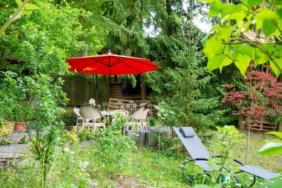 Natural landscape, Garden, Garden view