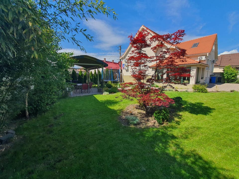 CHIC VOYAGE Bed and Breakfast in Sibiu