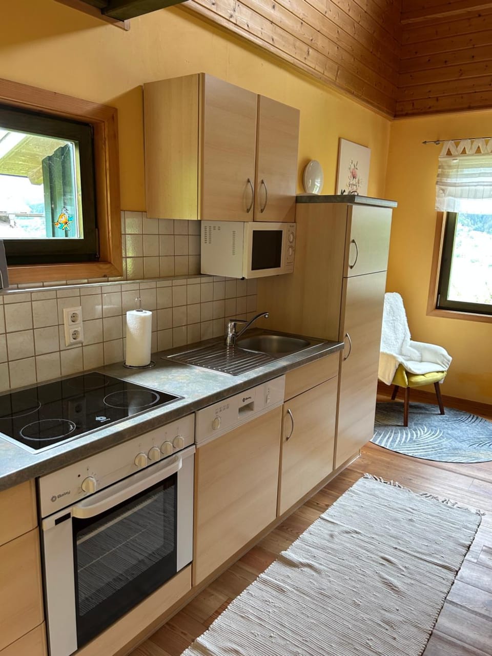 Kitchen or kitchenette, dishwasher, pet friendly, stove