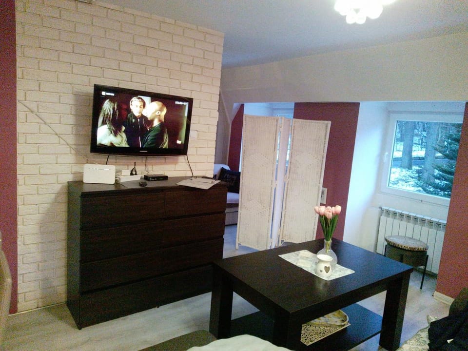 Nowoczesne mieszkanie blisko natury i sklepu Biedronka Apartment in Lower Silesian Voivodeship