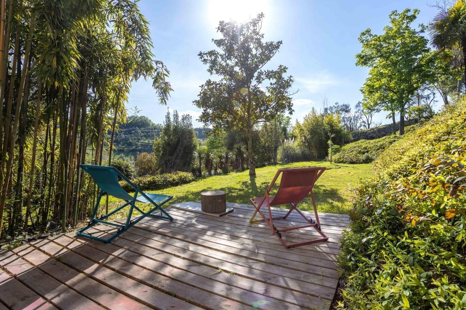 Spring, Day, Natural landscape, Garden, Garden view, sunbed