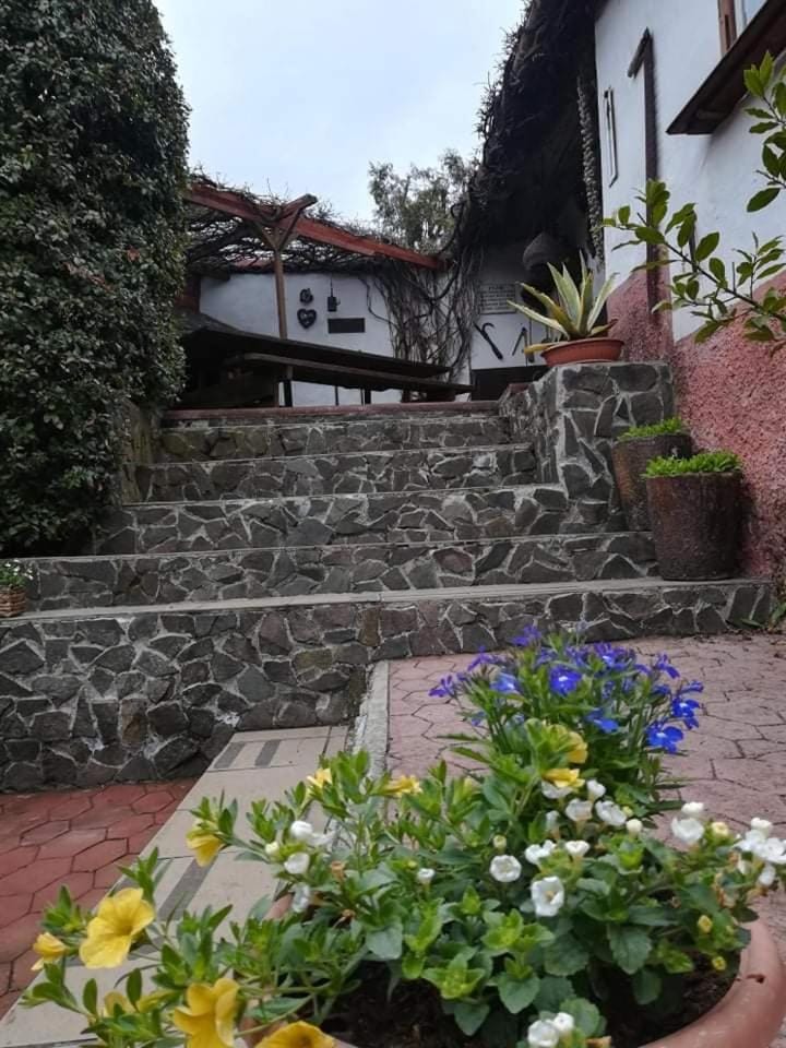 Ubytovanie v Banskej Štiavnici u Antalov Apartment in Slovakia