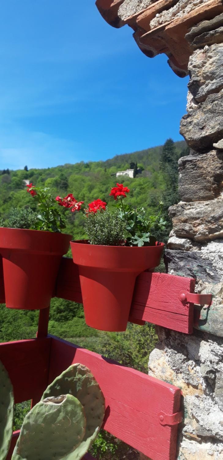 Gîtes chez Daniel "Cevennes 2" House in Occitanie