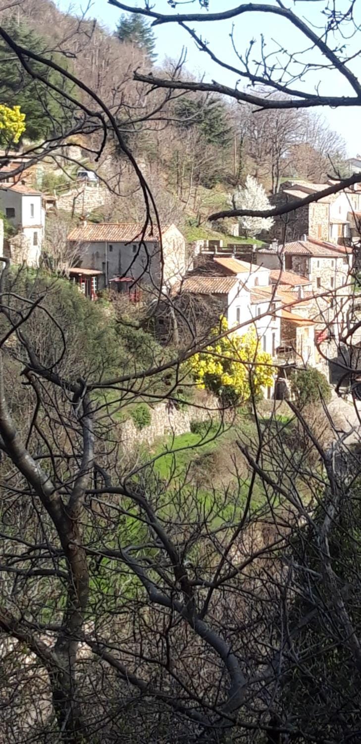 Gîtes chez Daniel "Cevennes 2" House in Occitanie