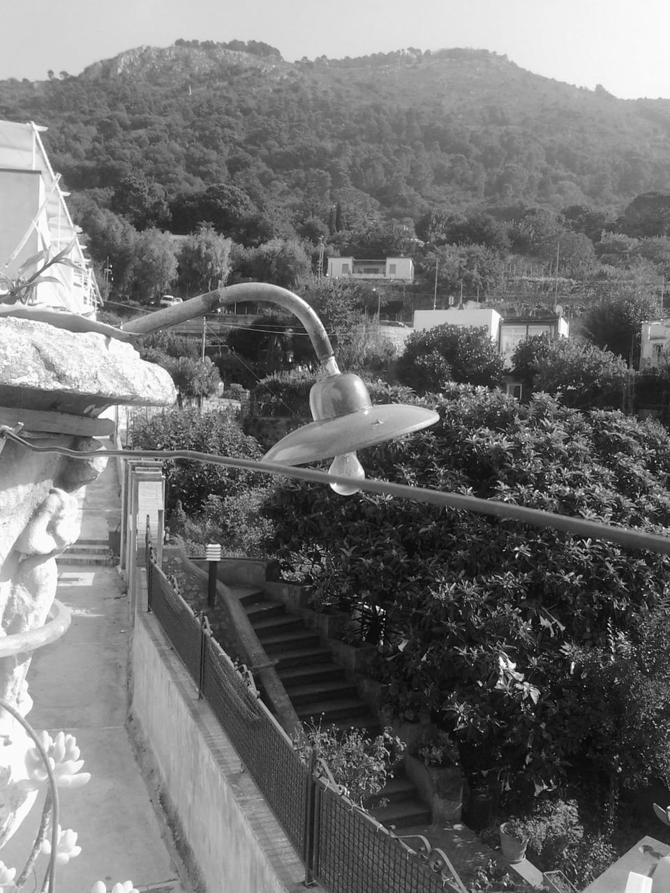 View (from property/room), Area and facilities