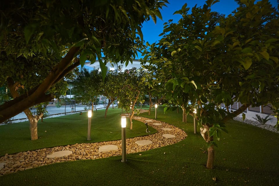 Night, Garden, Garden view