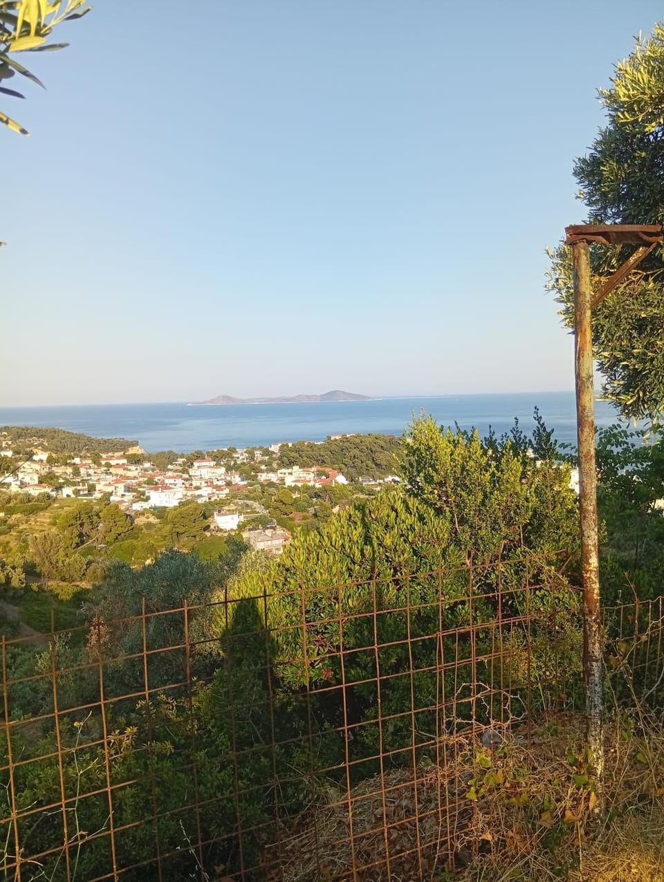 Rizos Veranda - Rooms Hotel in Sporades, Greece