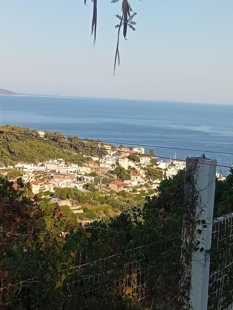 Rizos Veranda - Rooms Hotel in Sporades, Greece