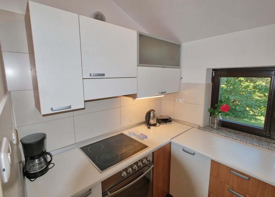 Kitchen or kitchenette, stove, toaster
