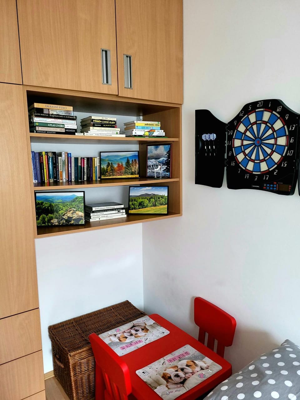 Bed, Darts, Library