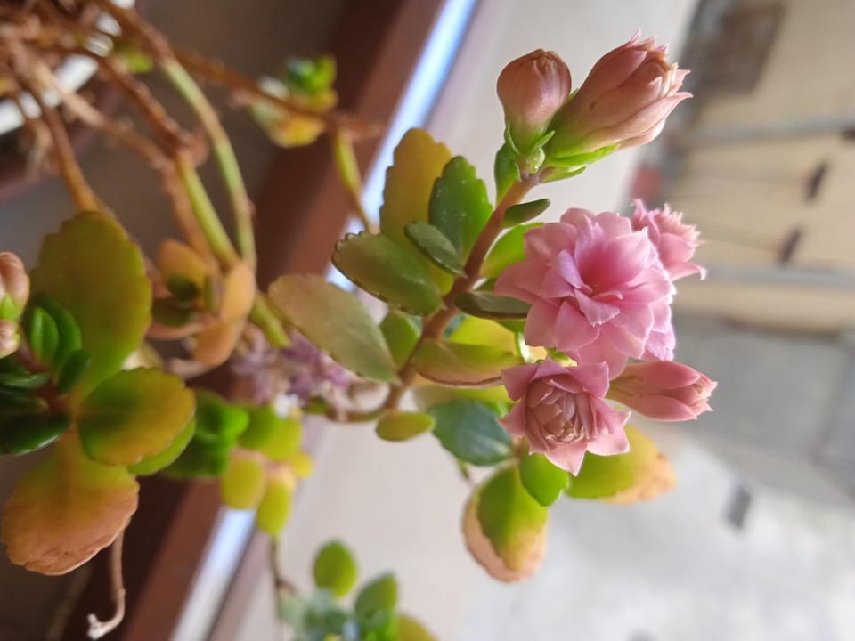 Casa Stella Apartment in Castel di Sangro