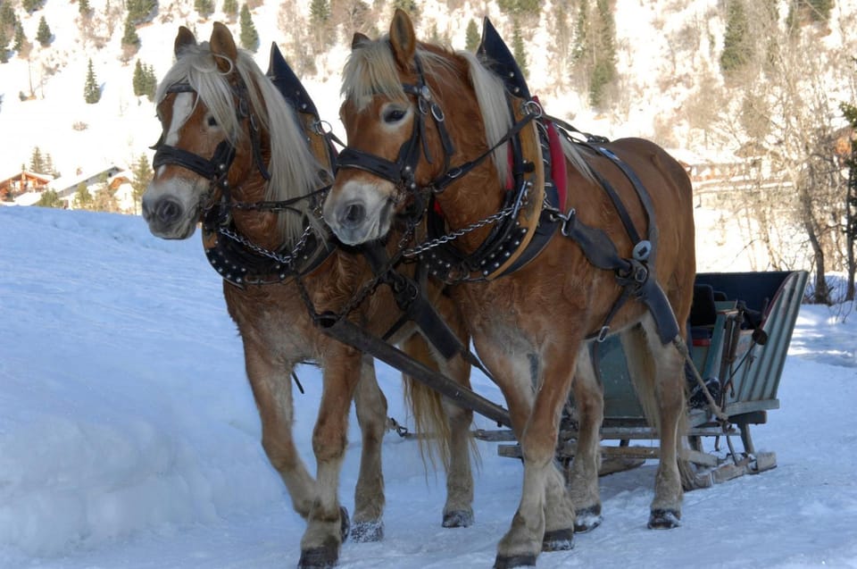 Hotel Monte Civetta Hotel in Trentino-South Tyrol