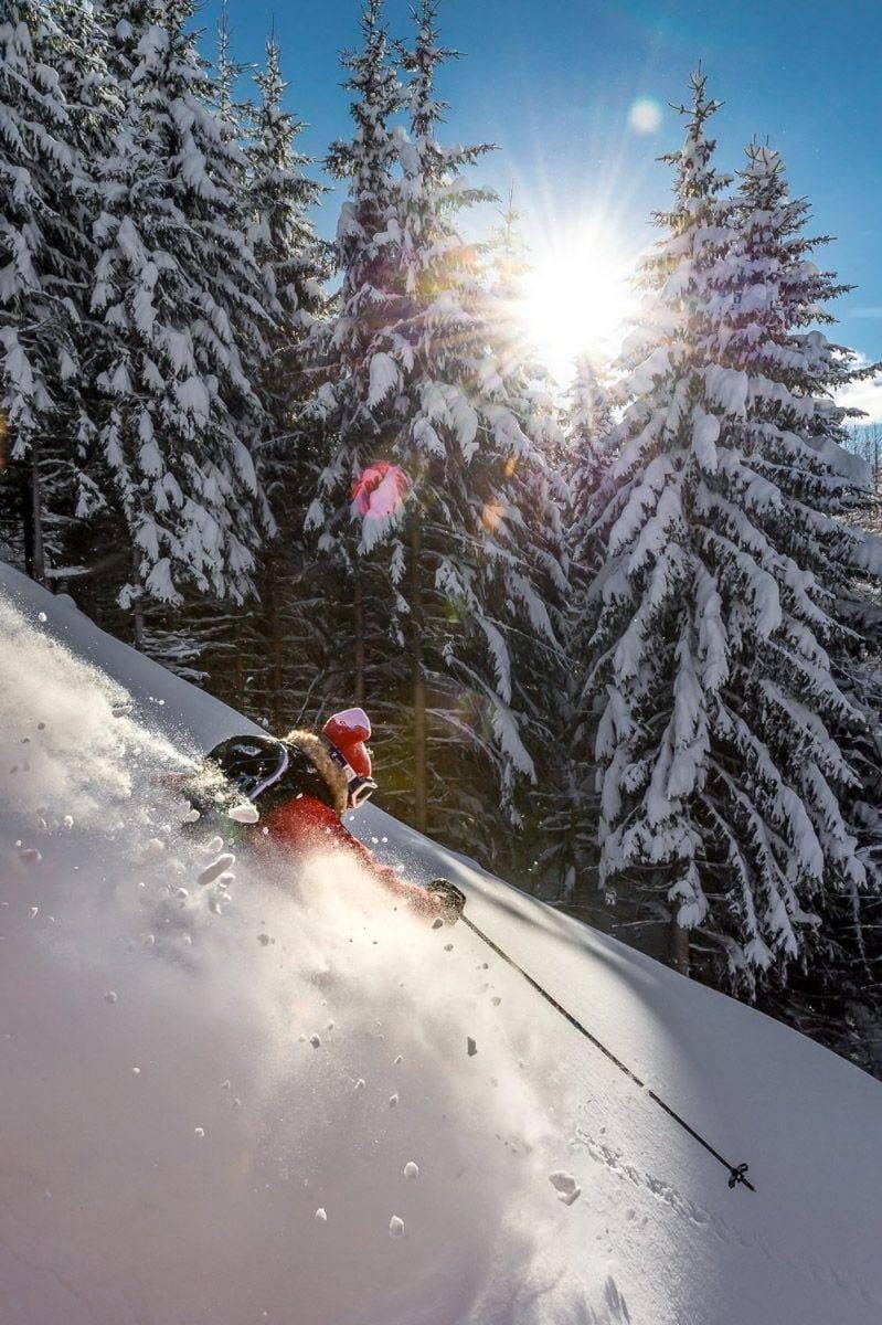 Hotel Monte Civetta Hotel in Trentino-South Tyrol