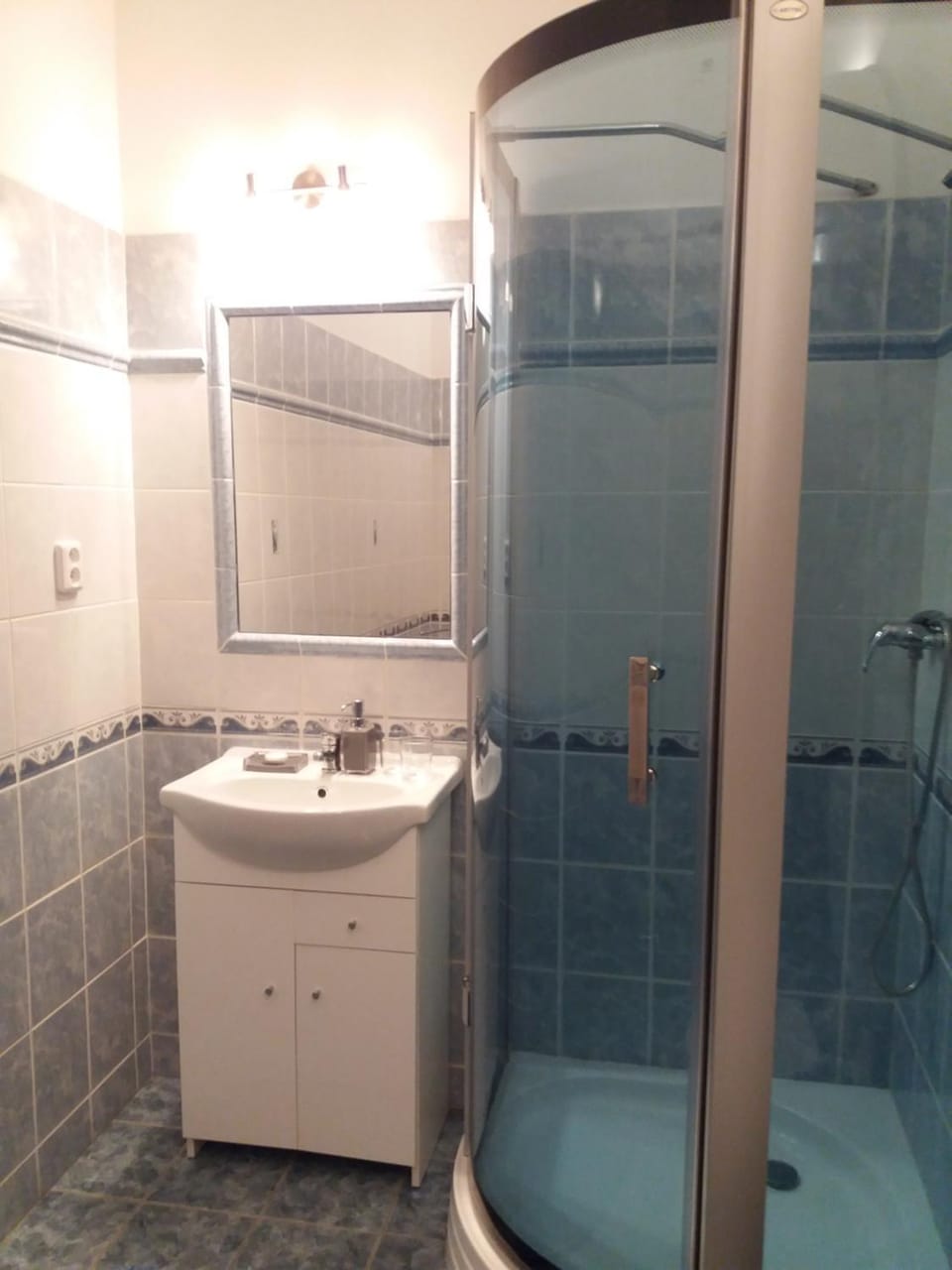 Shower, Toilet, Pets