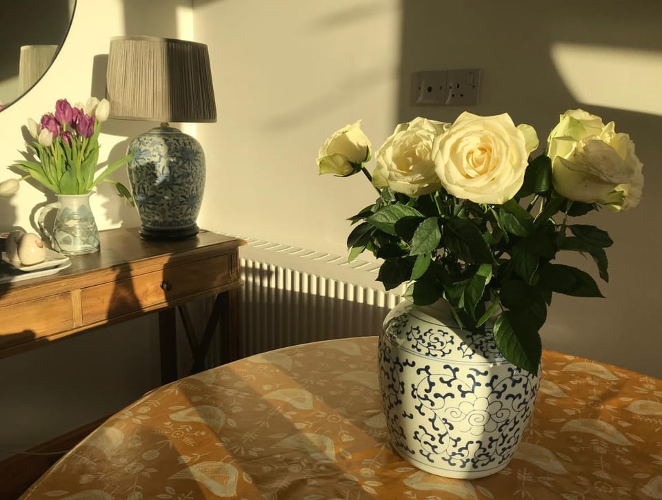 Garden Retreat - City Central Quiet Garden Apartment with Free Parking Apartment in Inverness