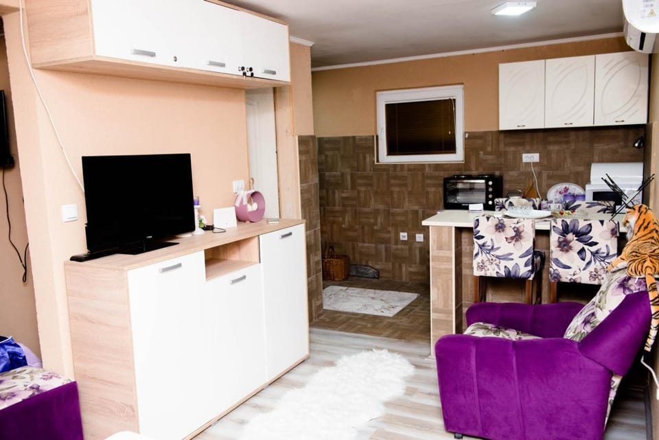 Stan na dan Danijela Apartment in Zlatibor District, Serbia