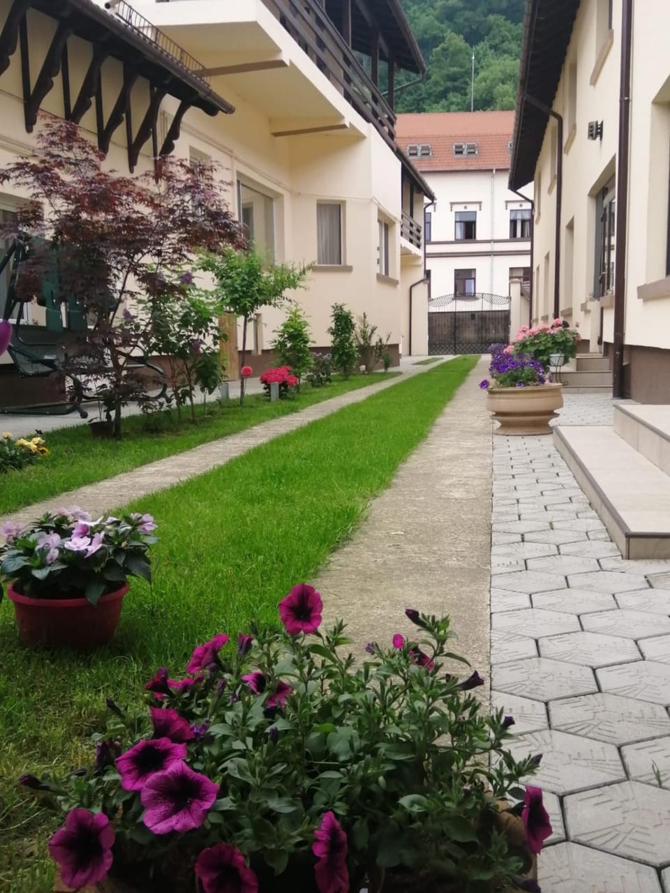 Garden view