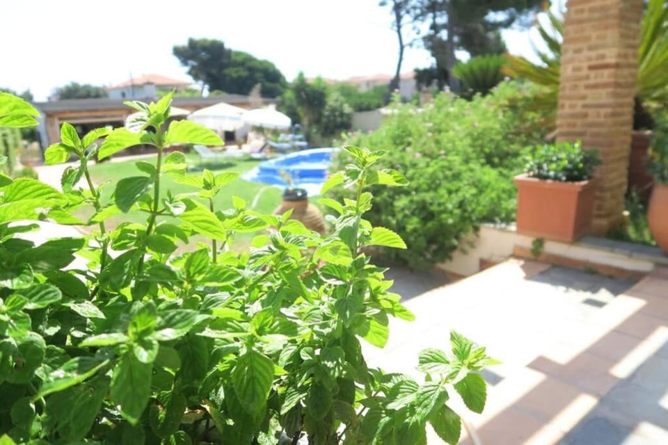 Garden view