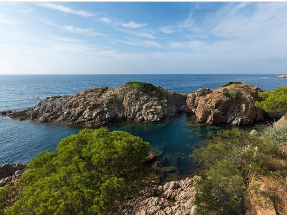 Natural landscape
