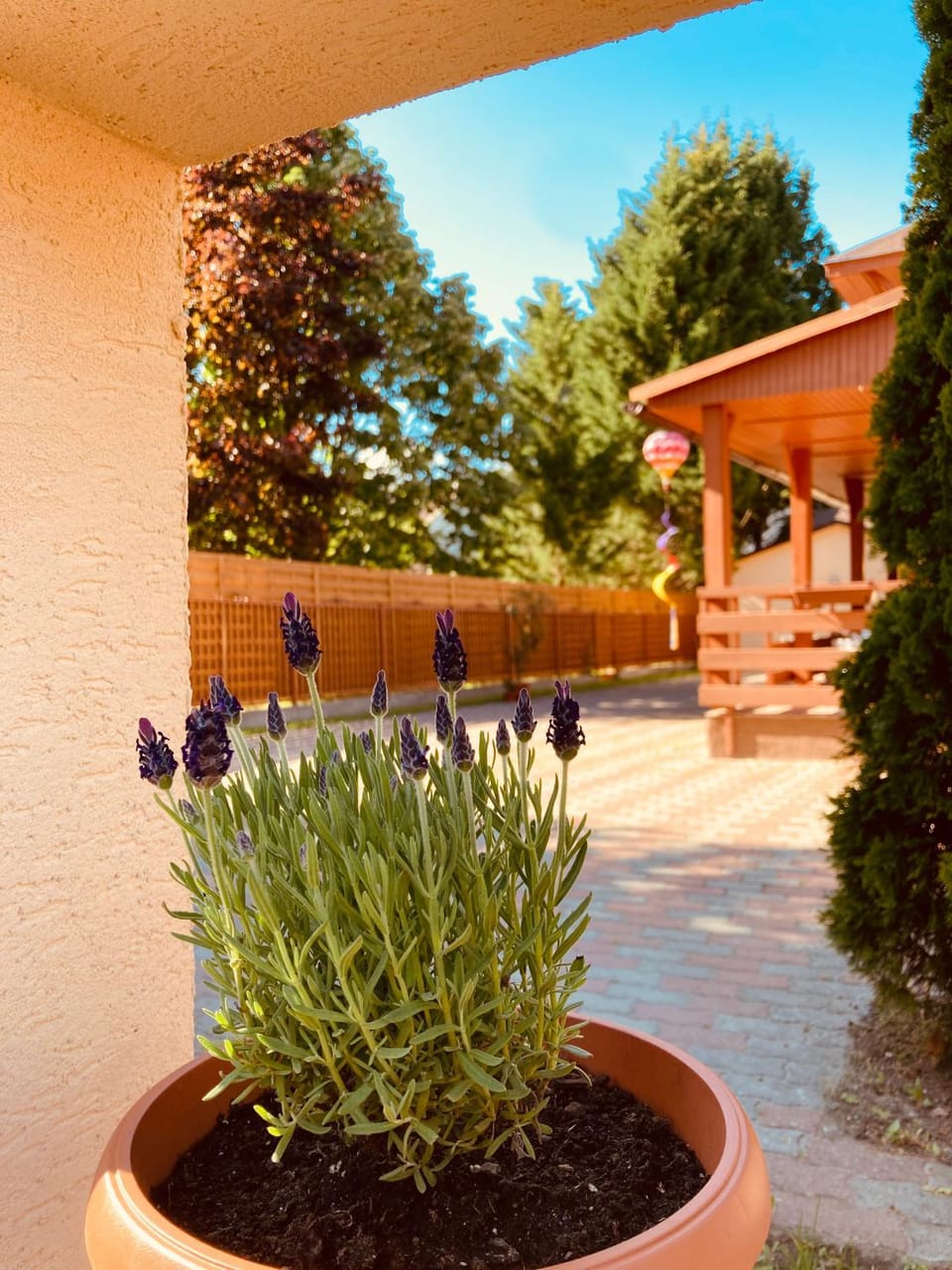 Property building, Garden, Inner courtyard view, Parking