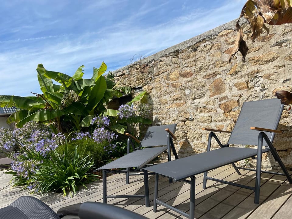 Patio, Natural landscape, Solarium