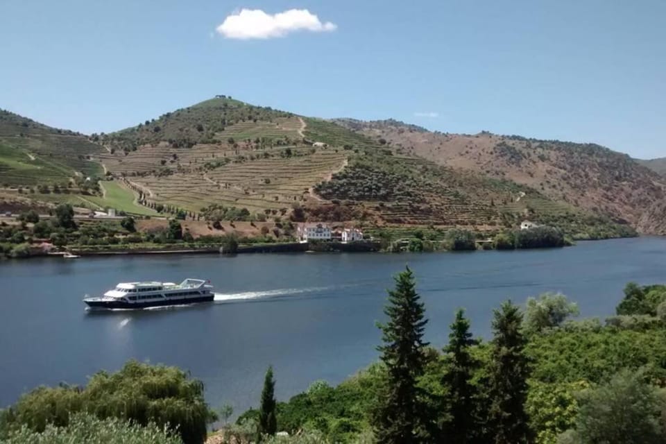 Natural landscape, River view