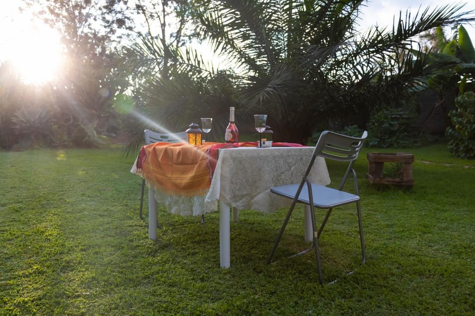 Garden, Sunset