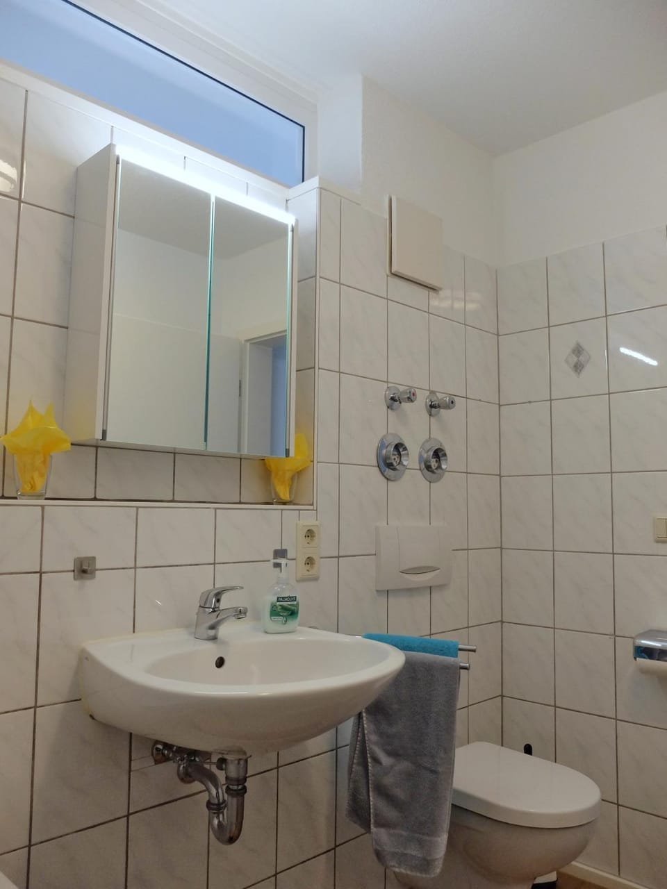Toilet, Bathroom