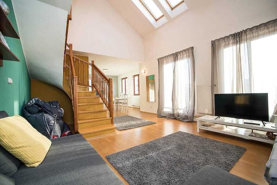 Great Terrace in Big, Central Flat Apartment in Prague